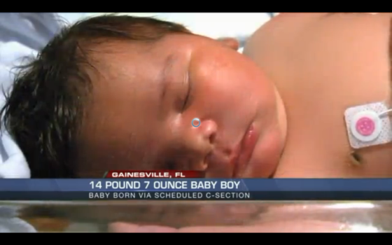 14-pound Baby