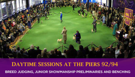 Westminster Kennel Club Dog Show 2014